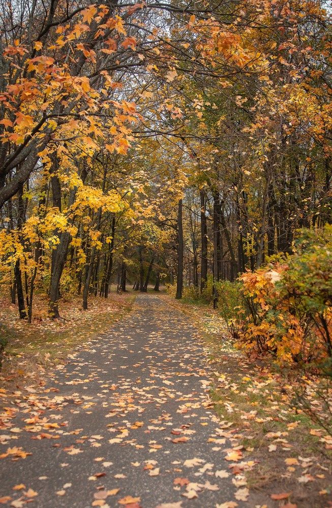 Photograph by Светлана Кавказская