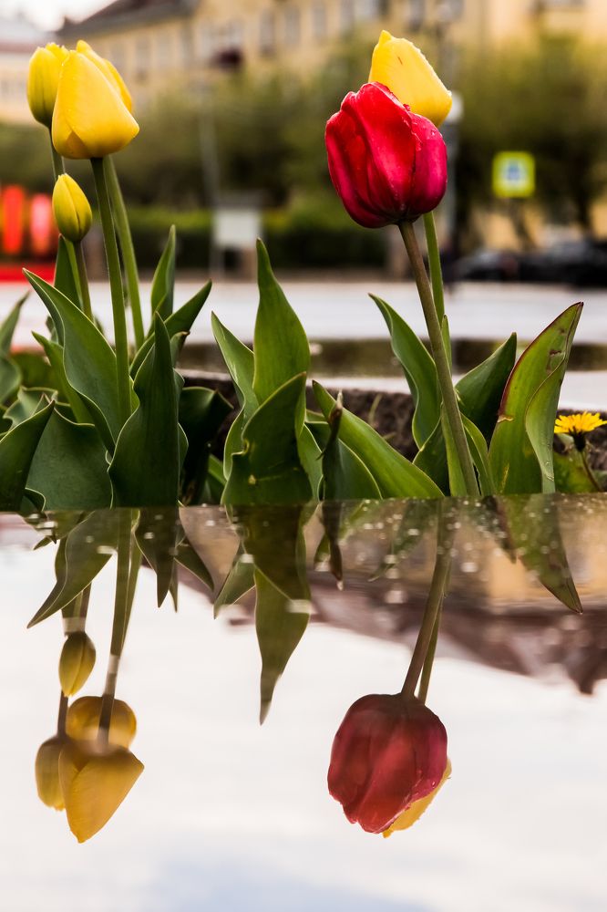 Photograph by Мария Тёмкина