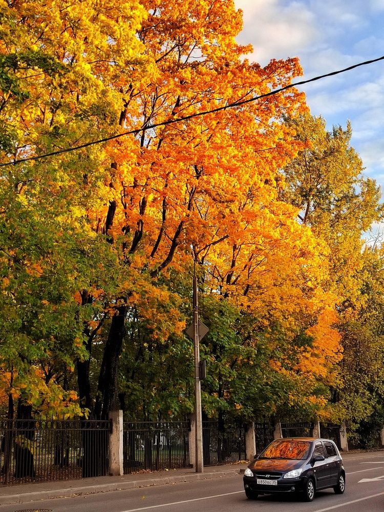 Photograph by Мария Тёмкина