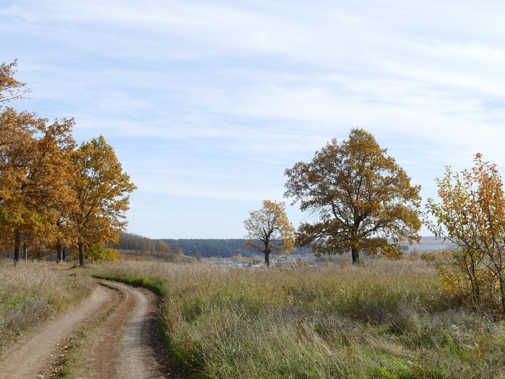 Photograph by Александр Кизим