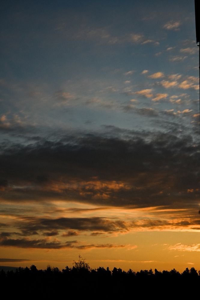 Фотография автора Екатерина Высоцкая