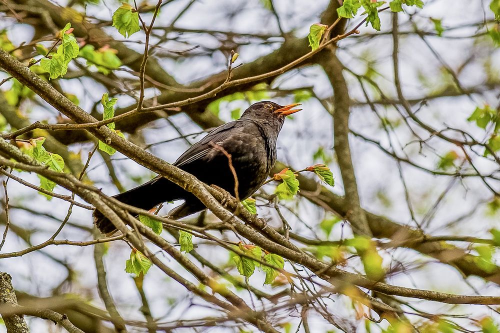 Photograph by Alexey Shevchenko