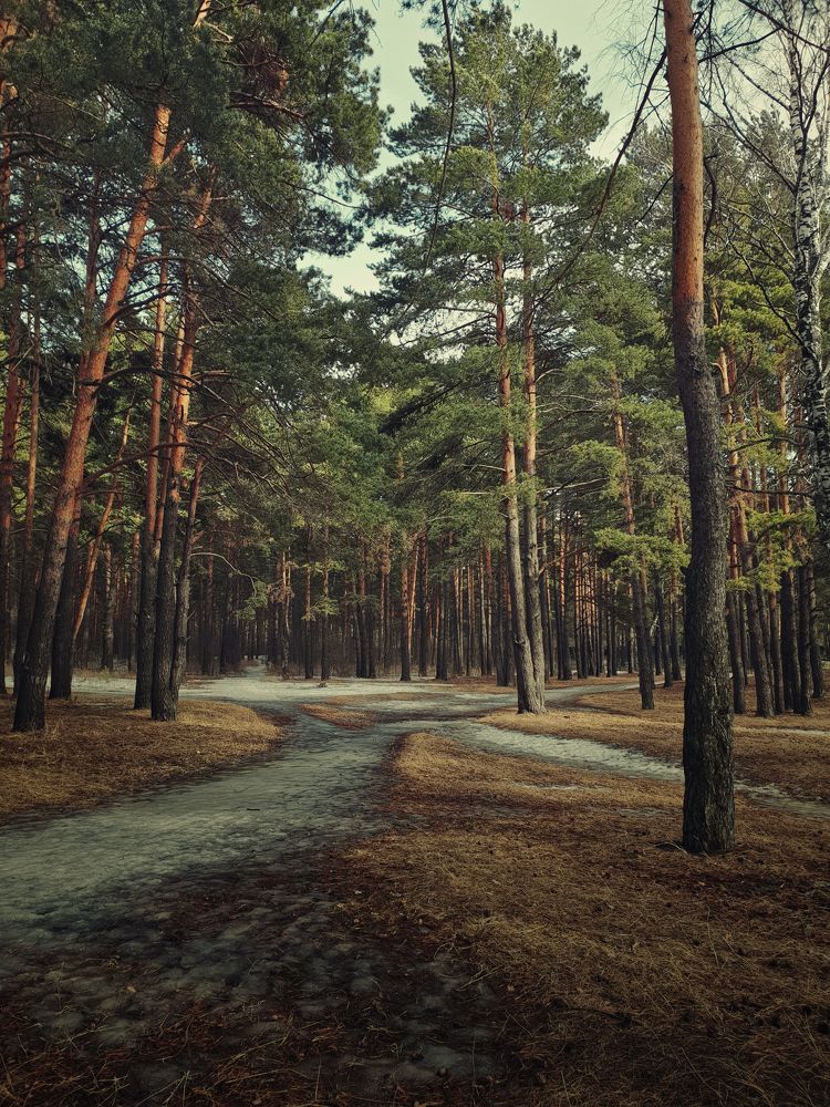 Photograph by Grebnev (DicDoc) Dmitriy