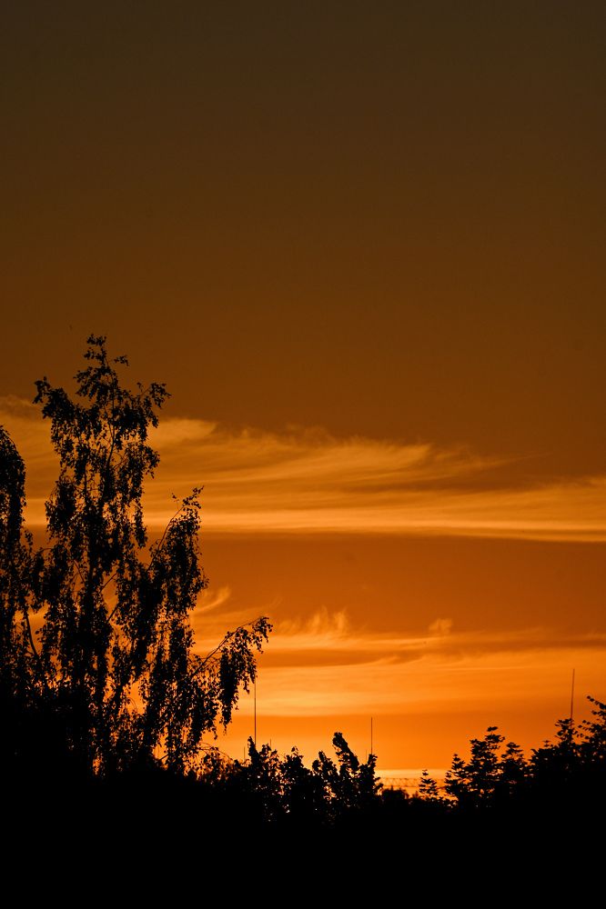 Фотография автора Екатерина Высоцкая