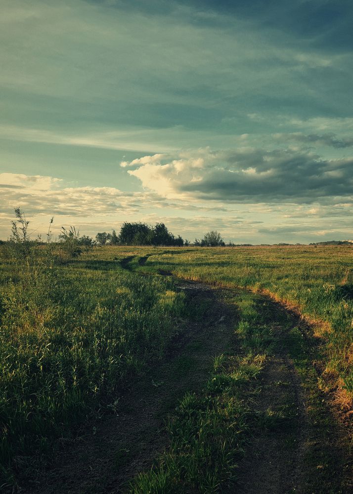 Photograph by Grebnev (DicDoc) Dmitriy