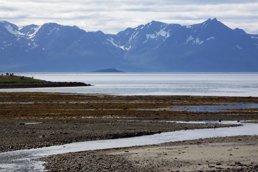 Photograph by Olga Smirnova