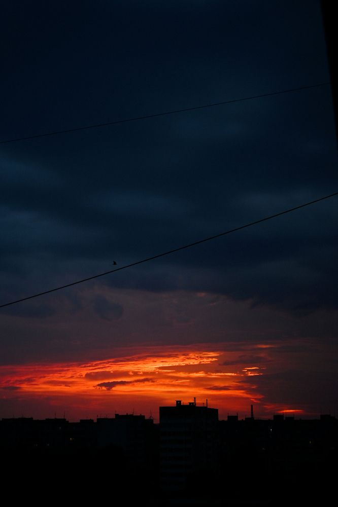 Фотография автора Екатерина Высоцкая