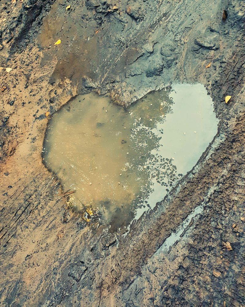 Photograph by Grebnev (DicDoc) Dmitriy