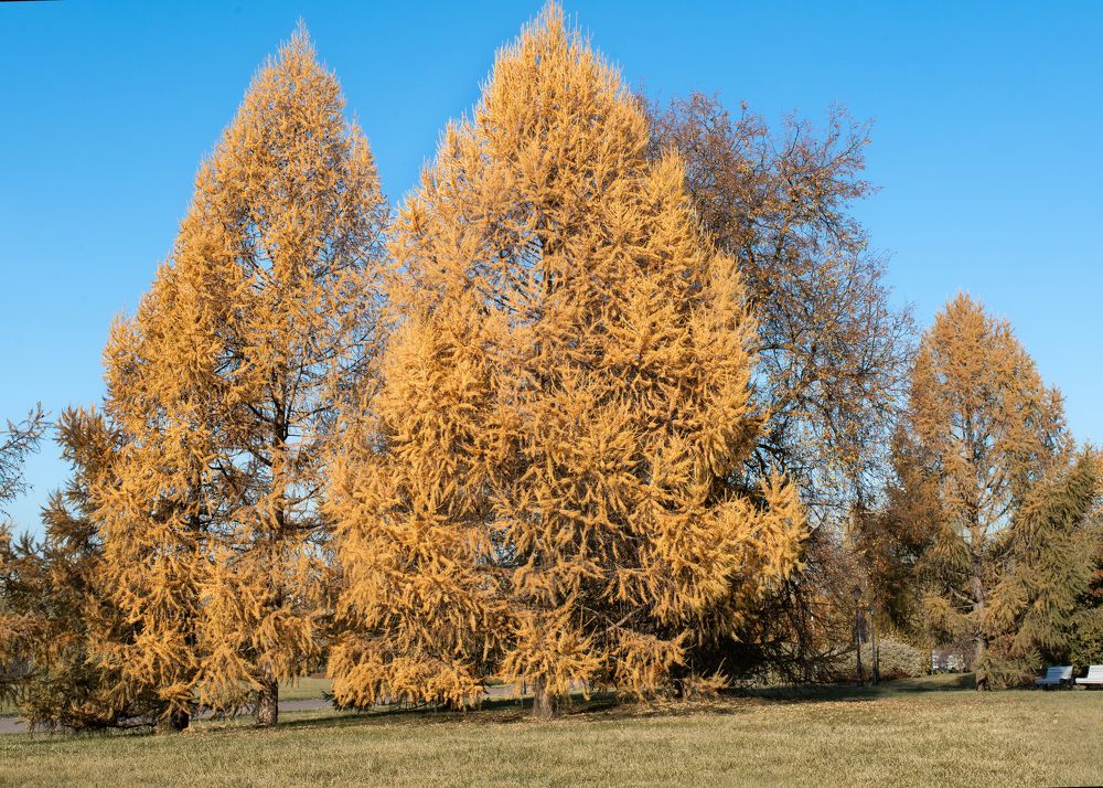 Photograph by Тамара Вотинцева