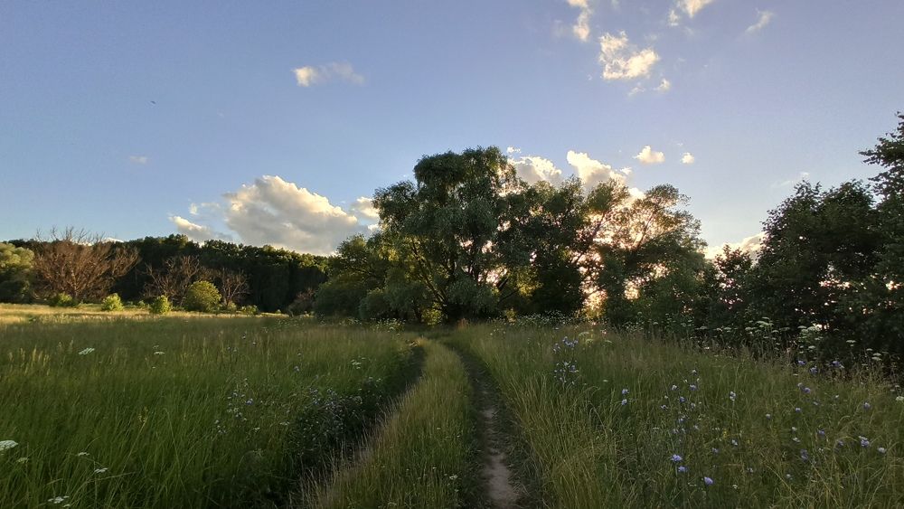 Photograph by Екатерина