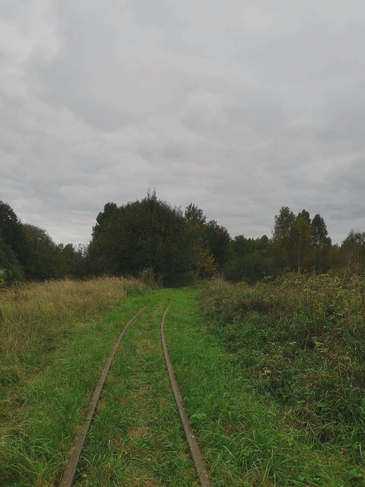 Photograph by Янина Найденцева