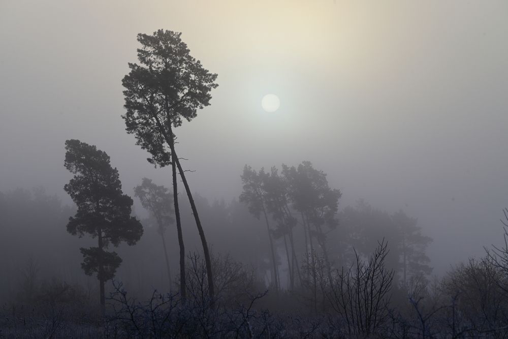 Photograph by Сергей Немцев