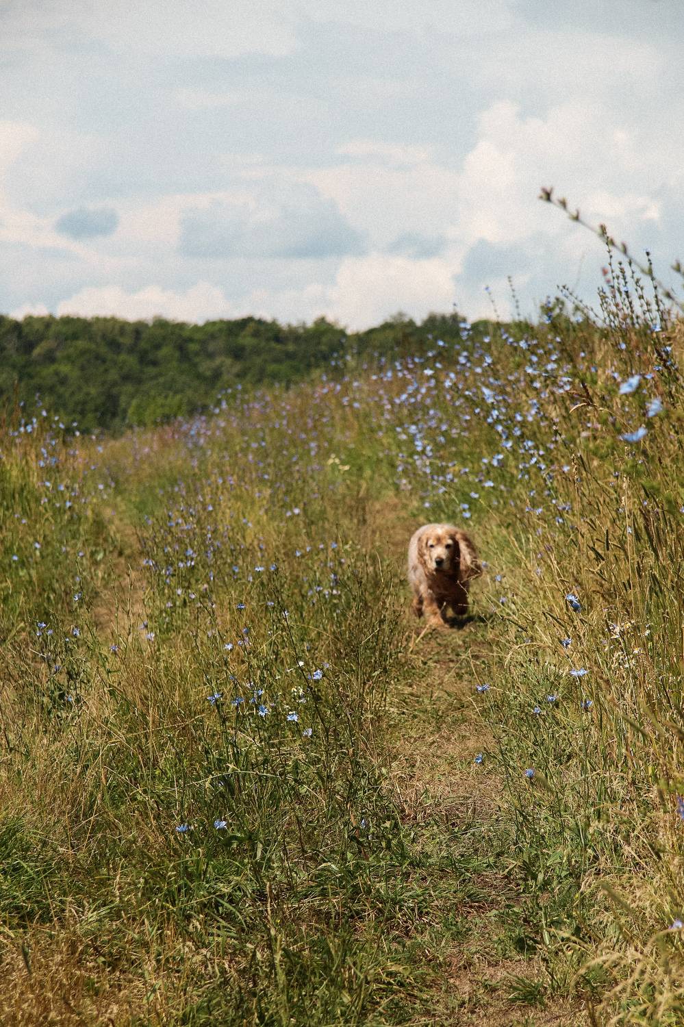 Photo #11227514