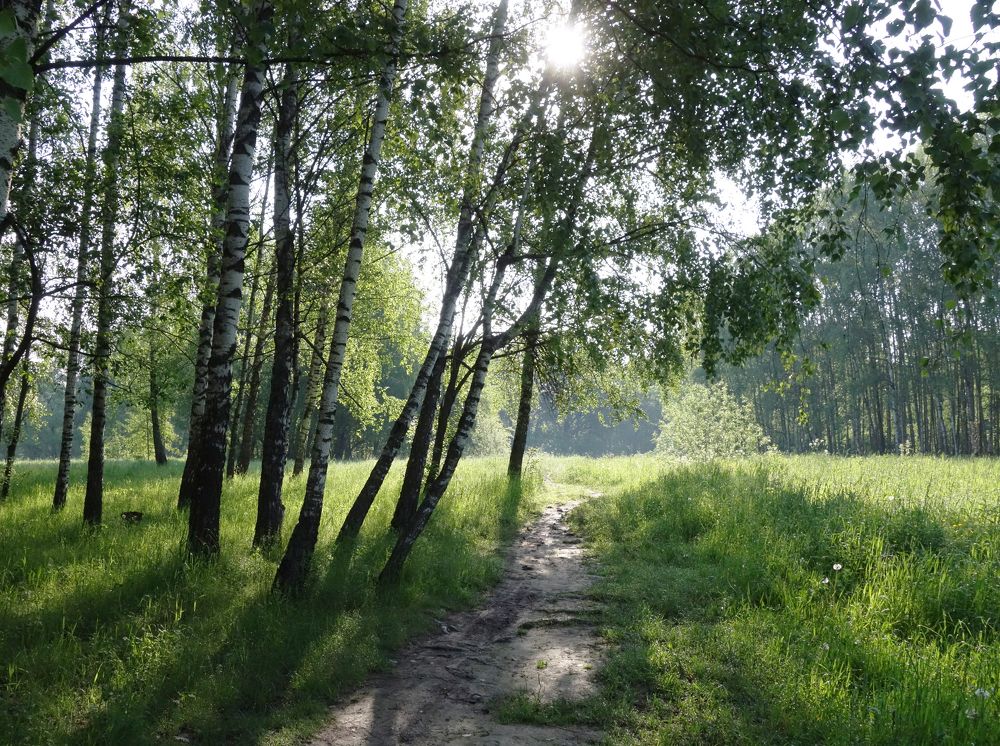 Photograph by Ионова Татьяна