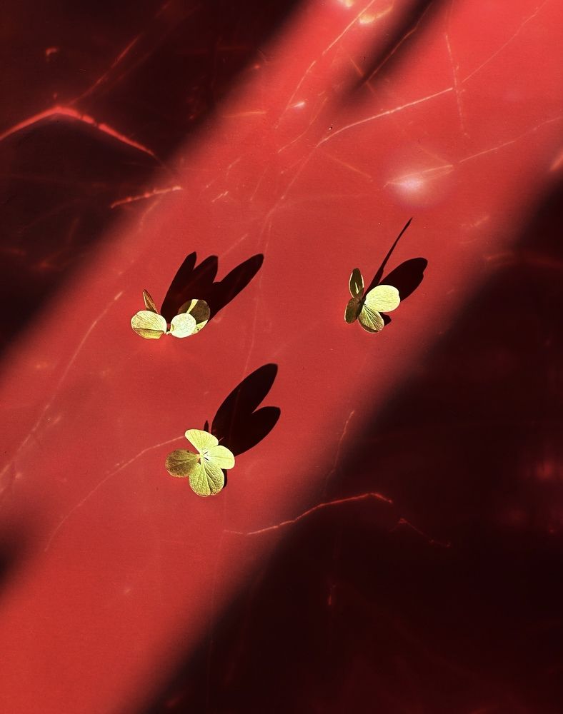 Photograph by Наталья Сережко