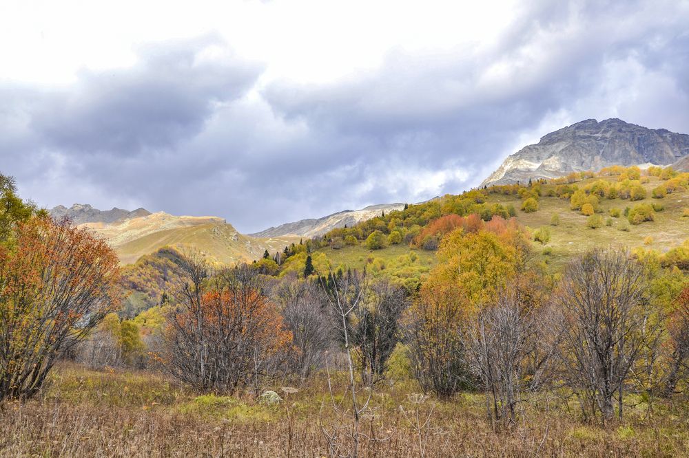 Photograph by Меркулова Наталья Геннадьевна