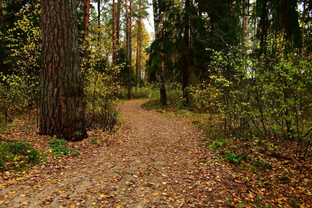 Photograph by Николай Абакумов