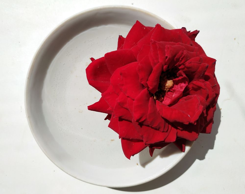 Photograph by Tatiana