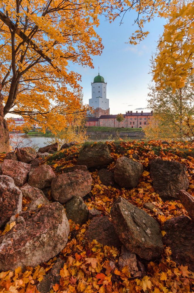 Photograph by Alexey S