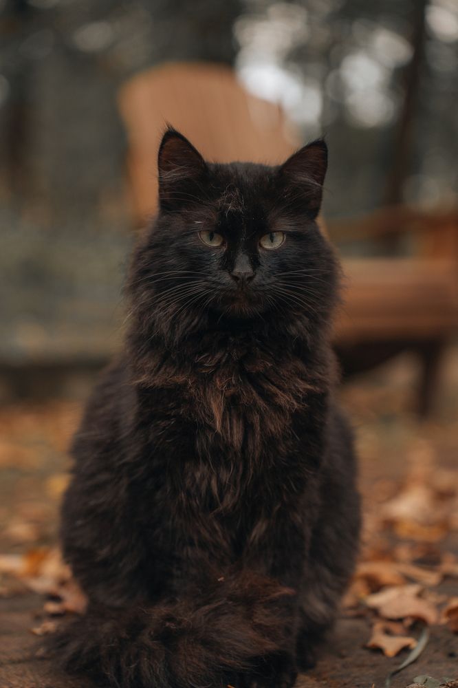 Photograph by Потёмкин Денис