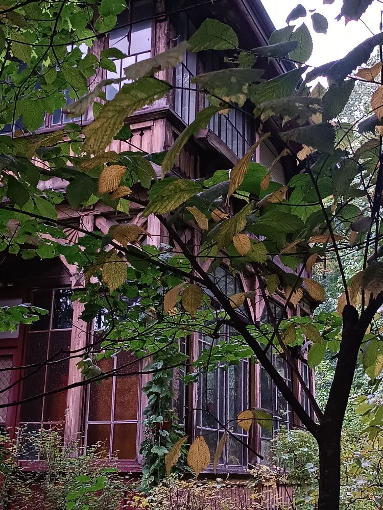 Фотография автора Надежда