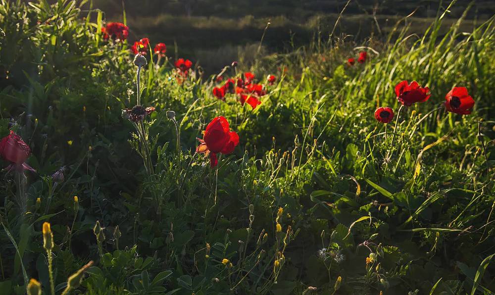 Photograph by Владислав Айзенберг