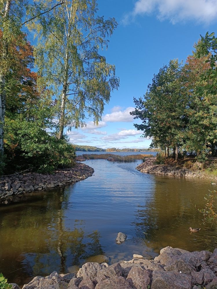Photo #11227571