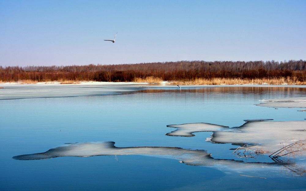 Фотография автора Nelya  Lysenko