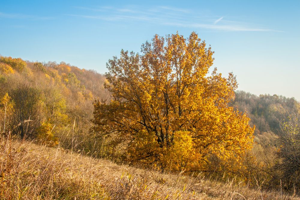 Photograph by Ольга Заповедная