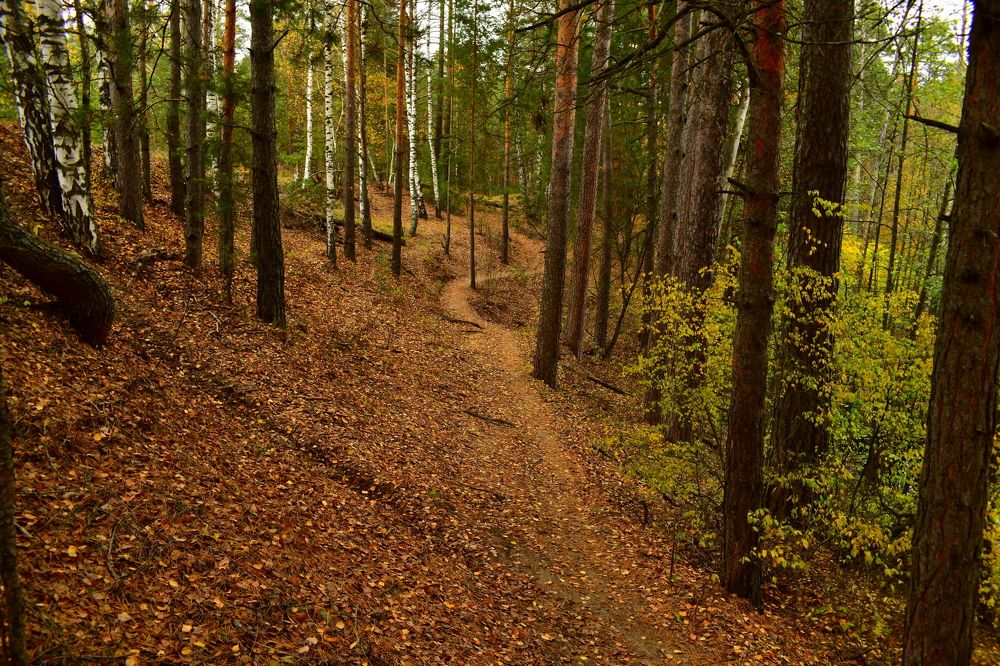 Photograph by Николай Абакумов