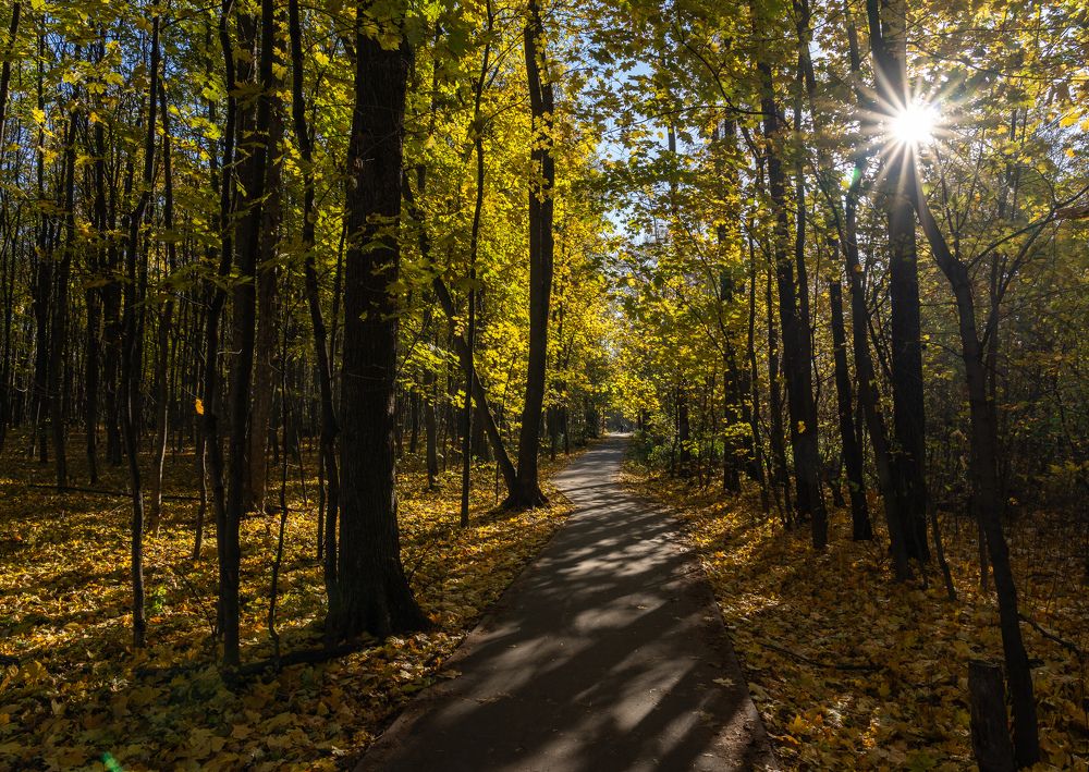 Photograph by Баландин Дмитрий