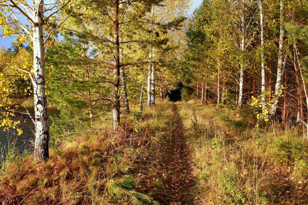 Фотография автора Nelya  Lysenko