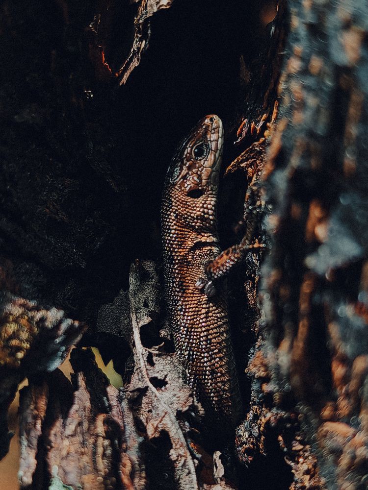 Photograph by Maria Stankevich