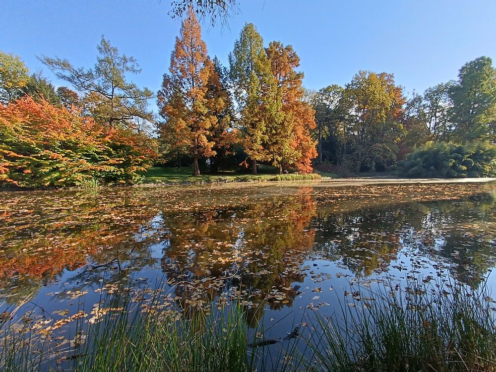 Photograph by Katarzyna Berić