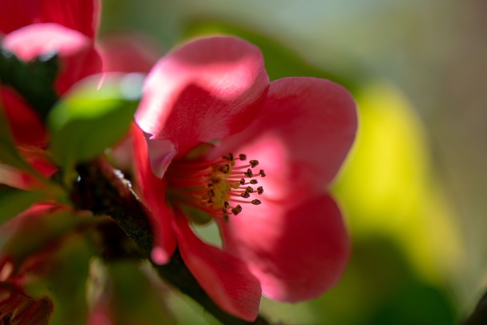 Фотография автора Ахмат Байсиев
