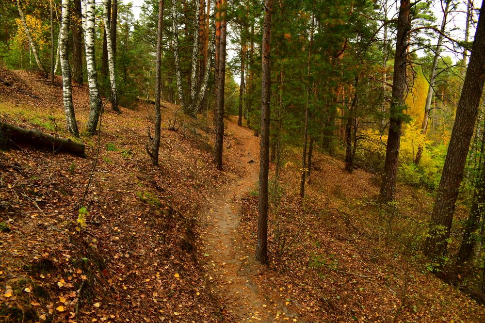 Photograph by Николай Абакумов