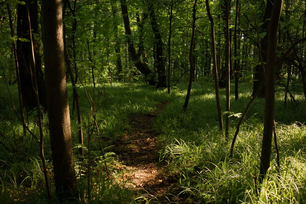 Photograph by Елена Барышева