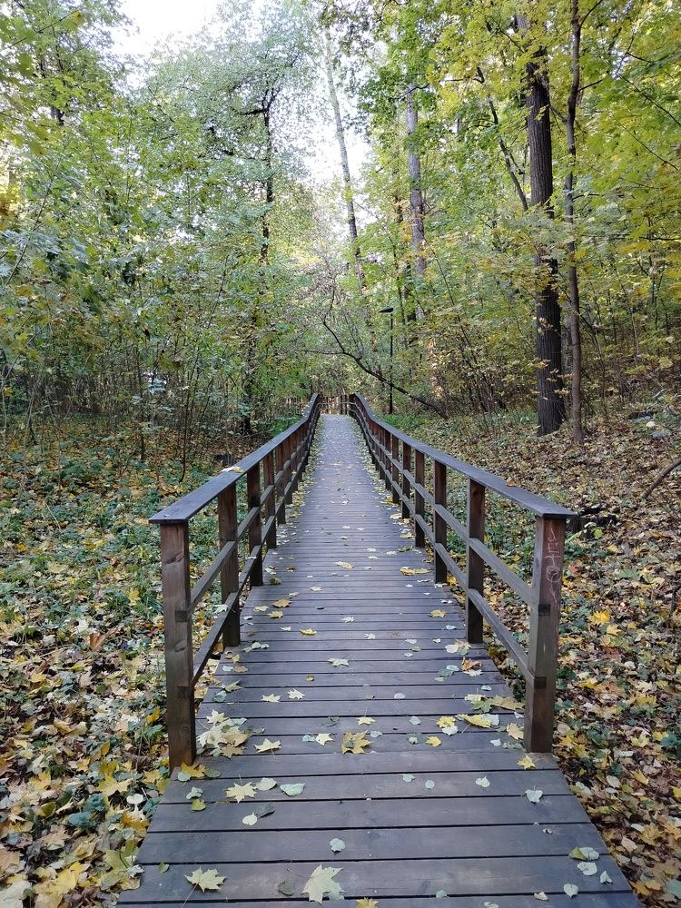 Photograph by Vadim Arutyunov