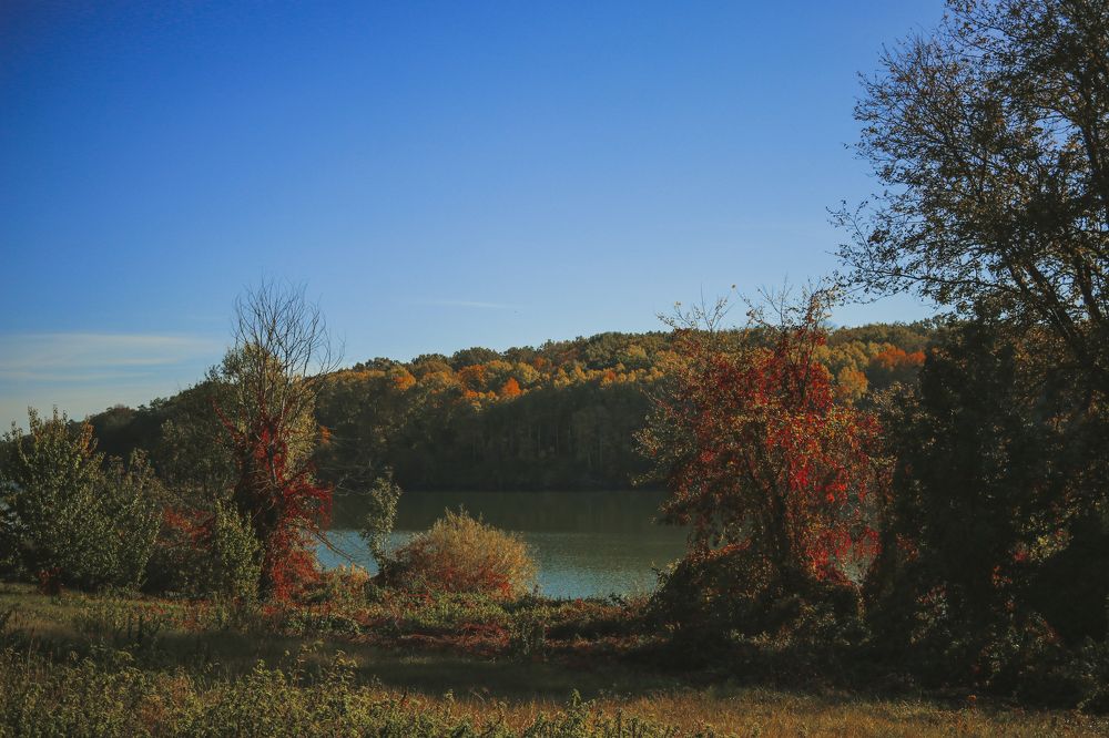 Photograph by Юлия Щетинина