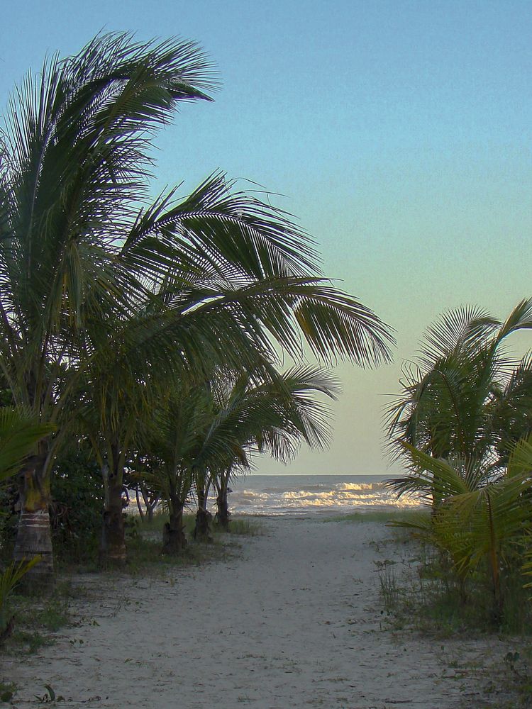 Photograph by Luiz Augusto Magina