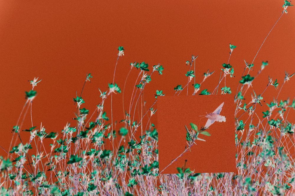 Photograph by Taтьяна Войлокова