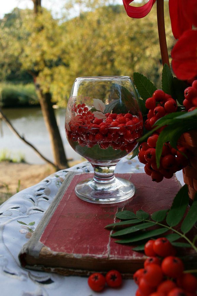 Photograph by Дарья Вихорева