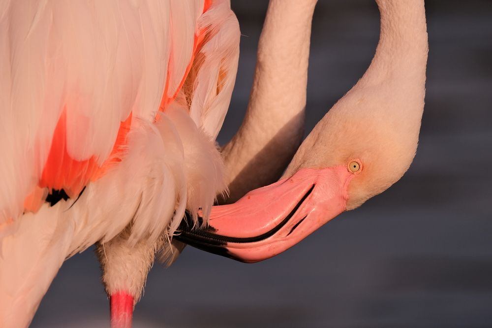 Photograph by Артём