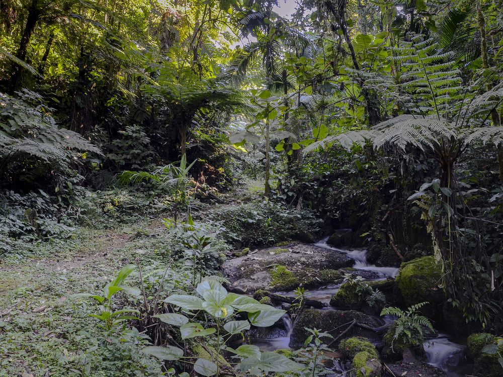 Photograph by Luiz Augusto Magina