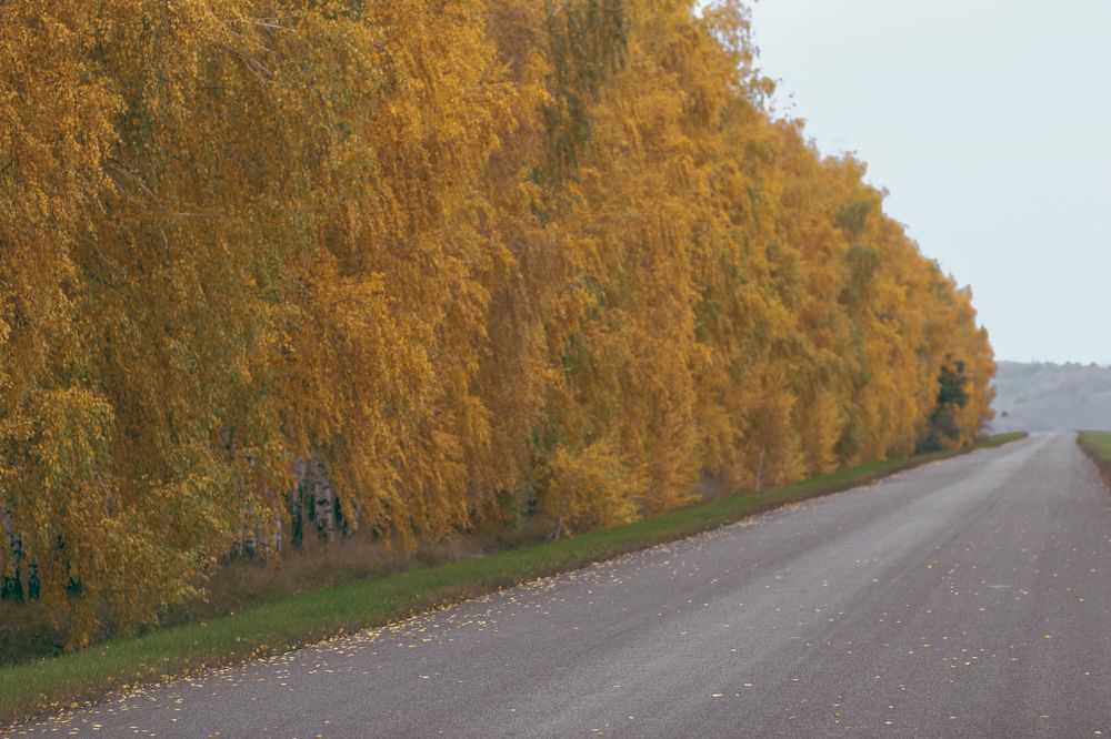 Photograph by Юлия Щетинина