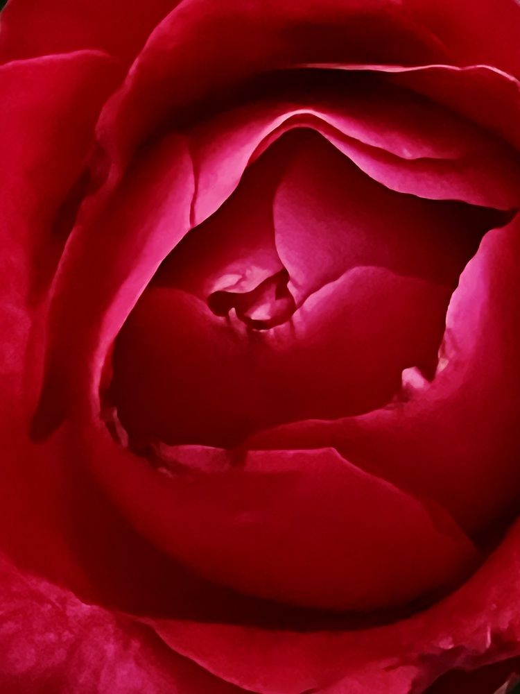 Фотография автора Ожегова Наталья