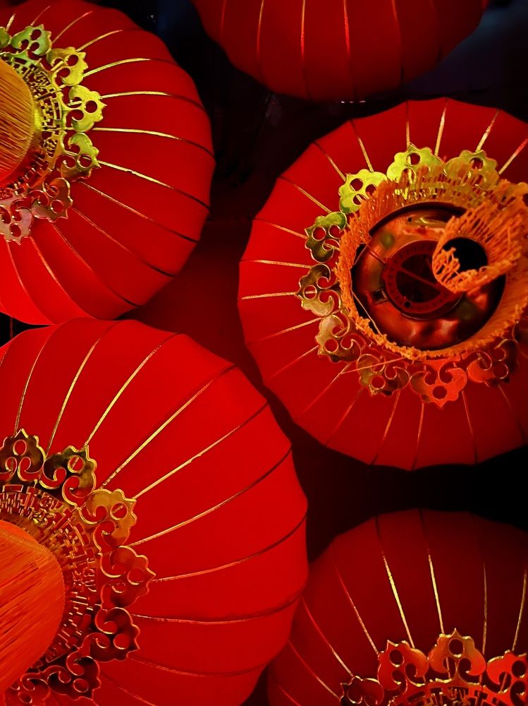 Фотография автора Ожегова Наталья