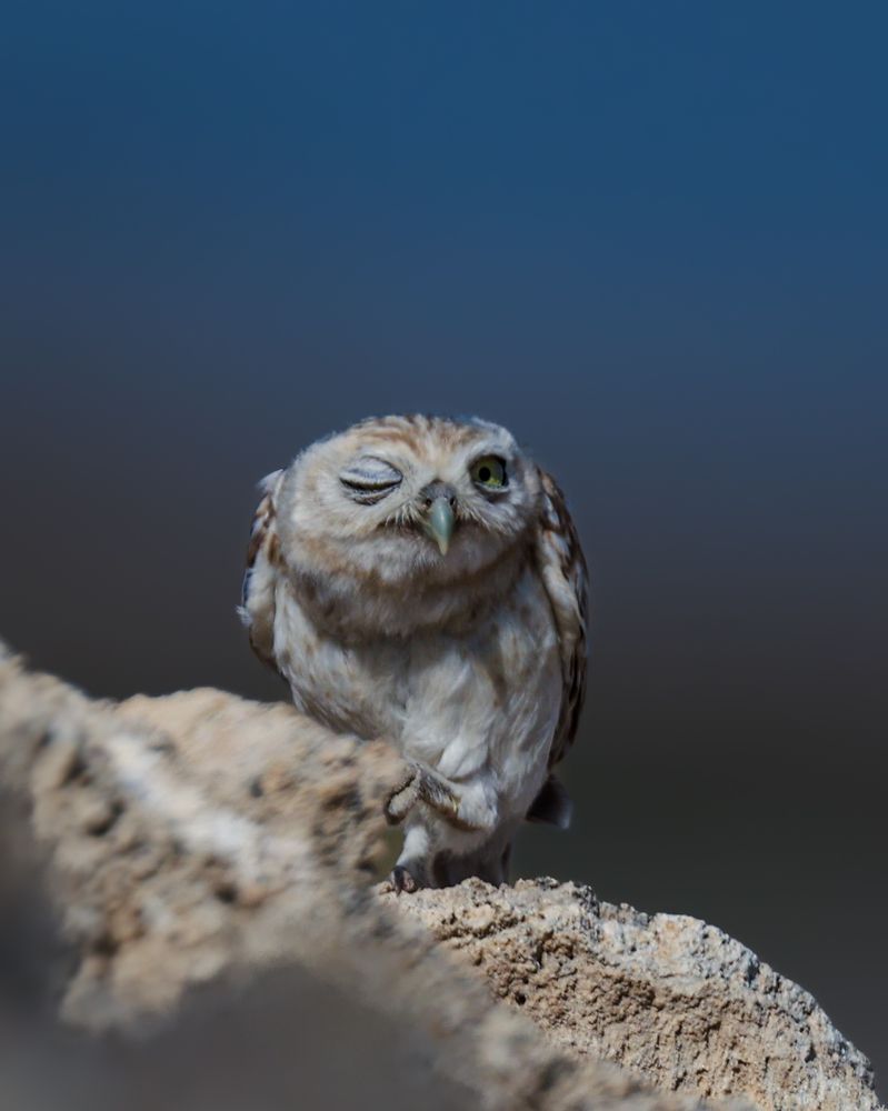 Photograph by Arnab Sarkar