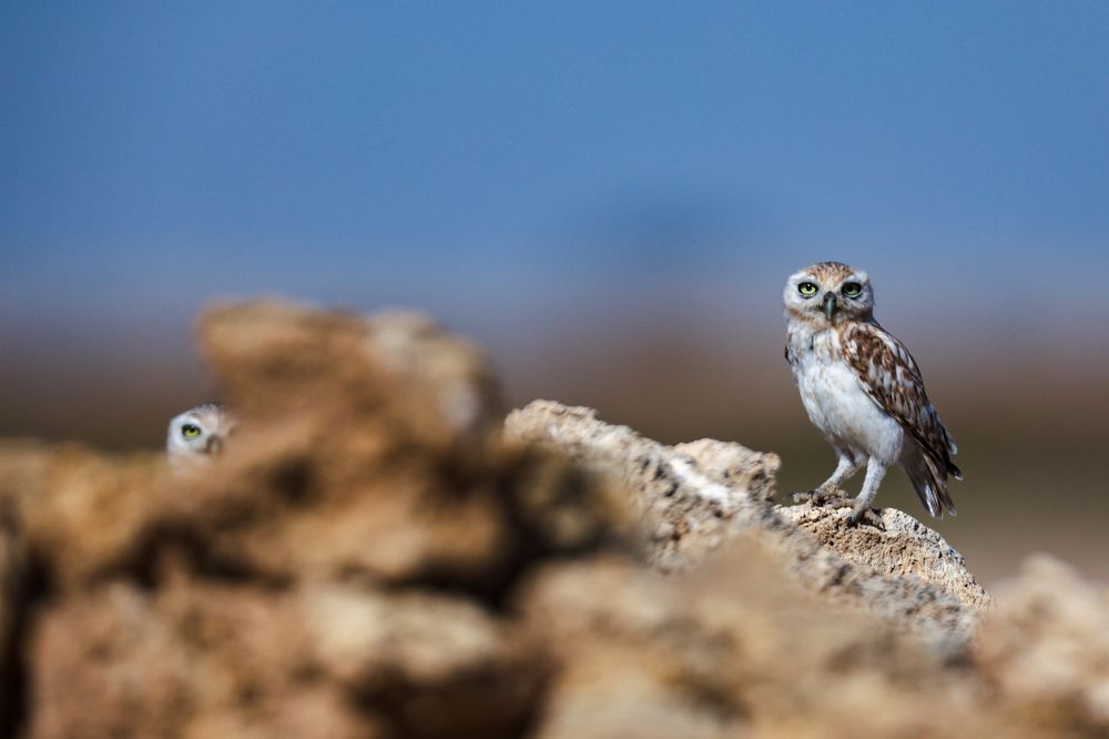 Photograph by Arnab Sarkar