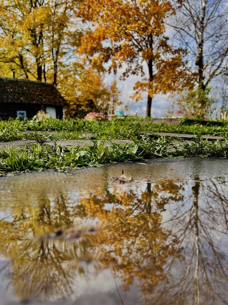 Фотография автора Ожегова Наталья